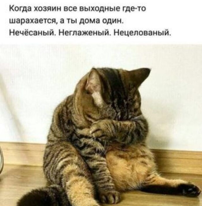     ? , ,  ,   , , 
