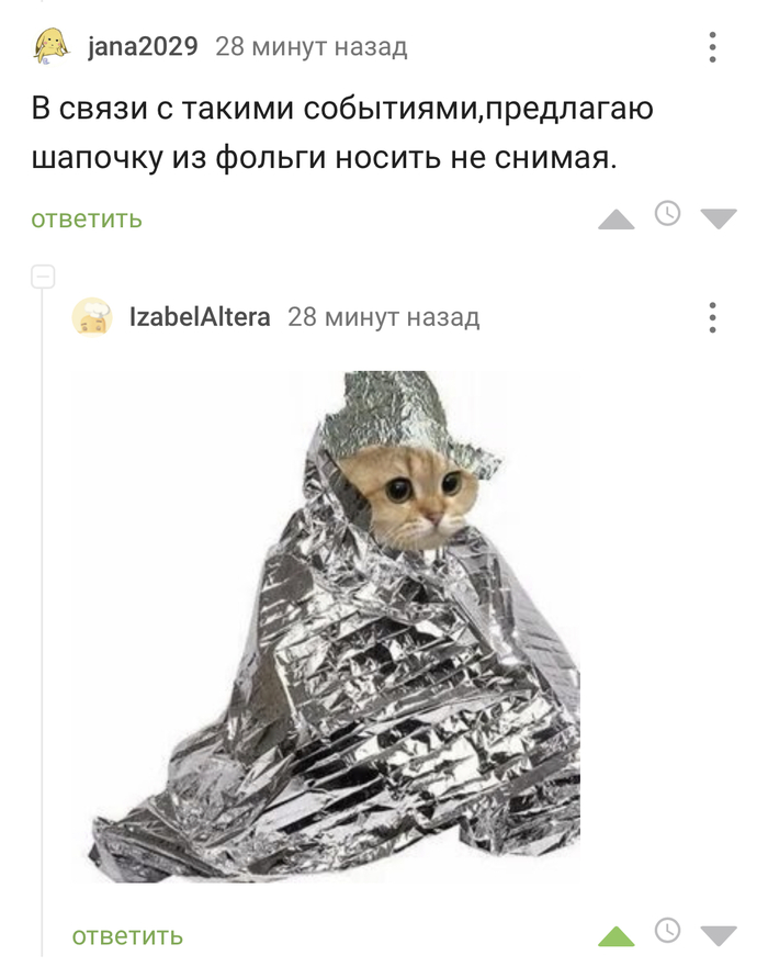 Коты и фольга на столе