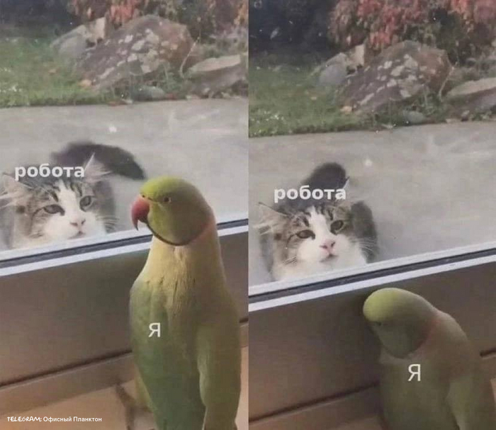 Каждый будний день