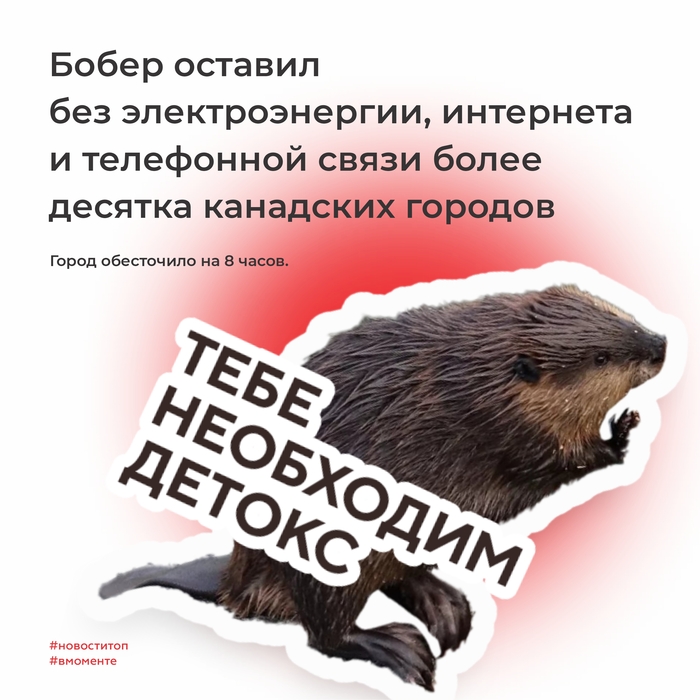 Природа vs Человек