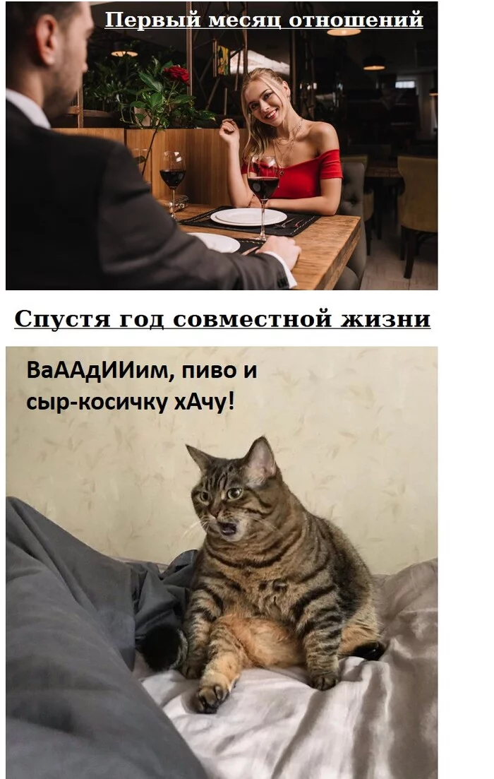 Vadim, blet! - Picture with text, Relationship, Relationship problems, Date, Marriage, Sad humor, Wife, Routine, Beer, Pigtail cheese, cat