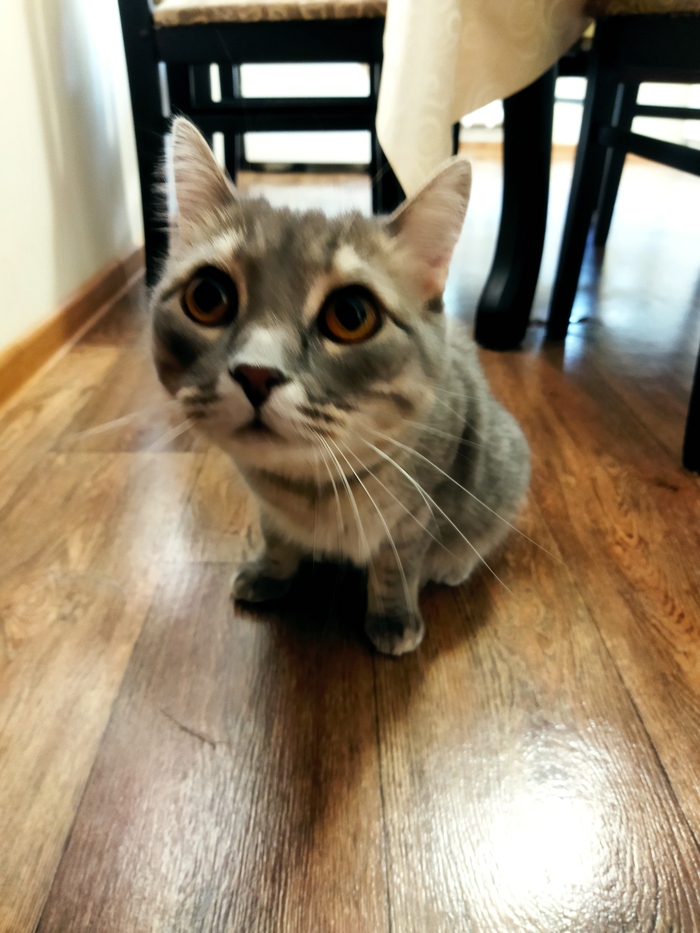 � �� ����� ������ ��������� �����