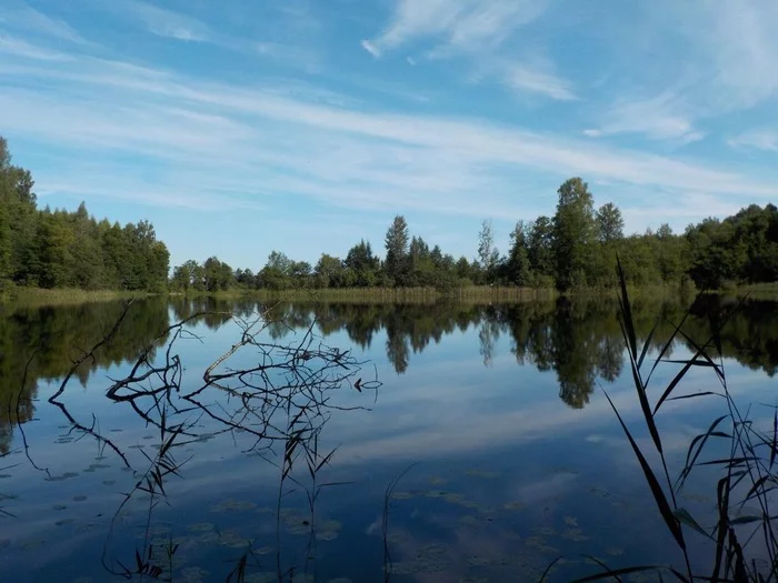 Lake Ulin, Tver region - My, Nature, Forest, The nature of Russia, wildlife, Mobile photography, Lake, beauty of nature, The photo, Camping, Walk in the woods, Leisure, Relaxation, Travel across Russia, Travels