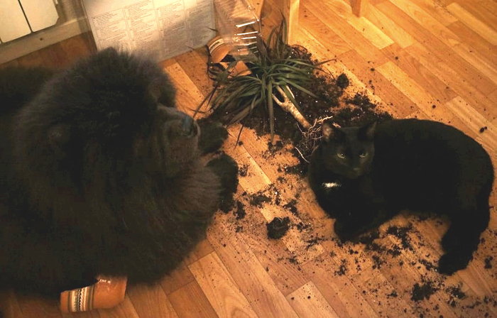 ����� �� ���� ����� ��� ������������ ��������...�