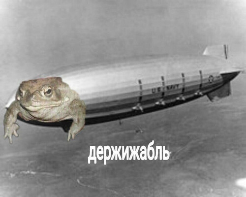 Держижабль | Пикабу