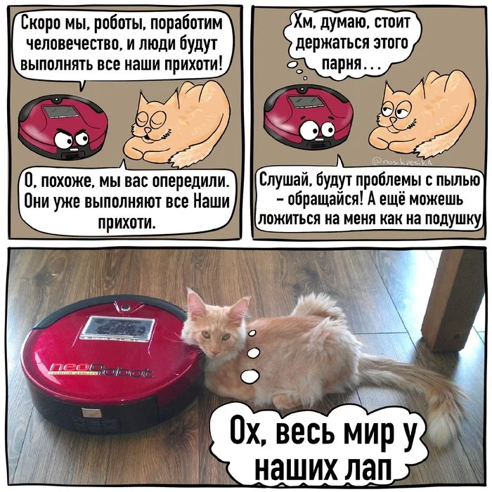 Pet photo comic 1 - My, cat, Humor, Author's comic