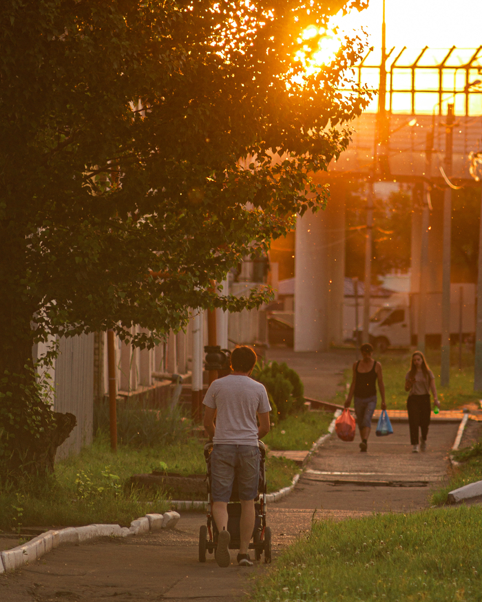 ������ ������