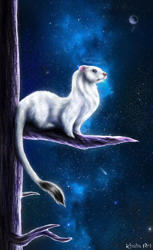 Ermine Guardian , Furry Art, Furry feral, , , 