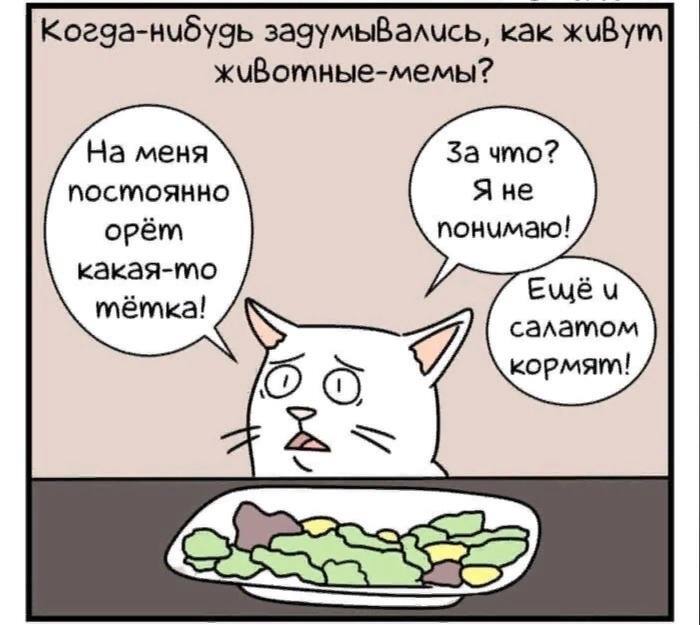 Грустный комикс Мемы, Комиксы, Длиннопост, Кот