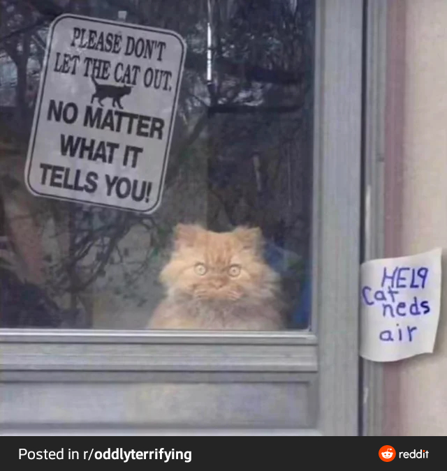 �������� ������ ����� ������