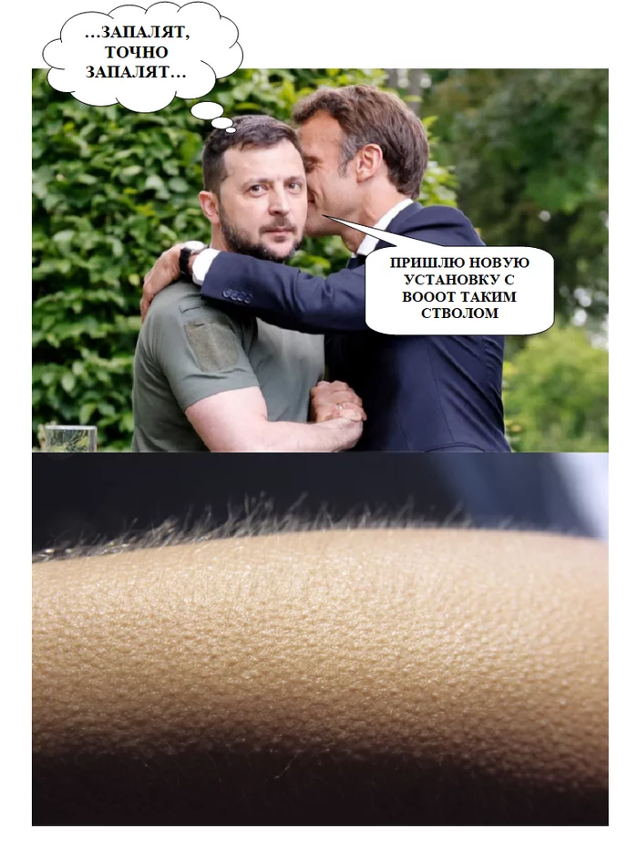 Partners - My, Emmanuel Macron, Vladimir Zelensky, Politics, Special operation, Sad humor, Satire