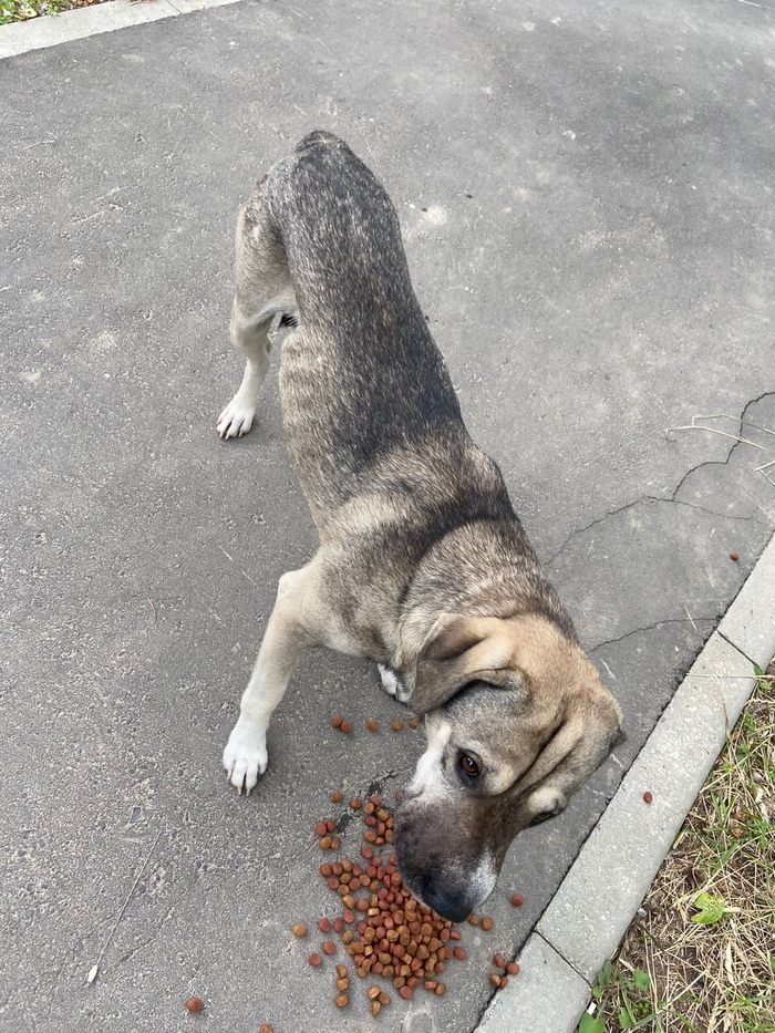 ���� ������ ���� �������!