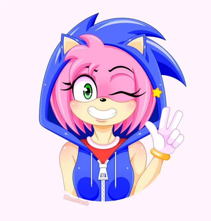 Amy Rose (Sonic hoody) - My, Sonic the hedgehog, Sonic X, Furry, Anime, Games