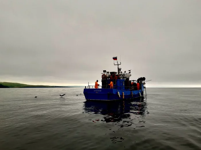 Fishing on the Sea of ??Okhotsk - My, Mobile photography, Iturup, Sea of ??Okhotsk, Fishing