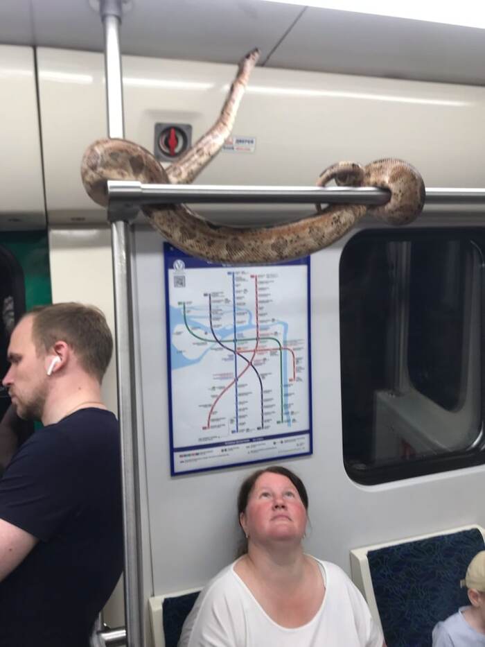 В питерском метро как в ущелье: тепло и сыро