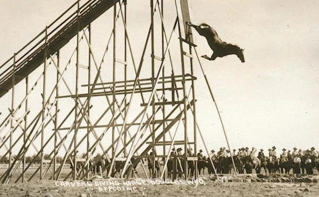 The diving horse is an attraction that was popular in the mid-1880s when the horse dived into the pool - Horses, Diving, Longpost