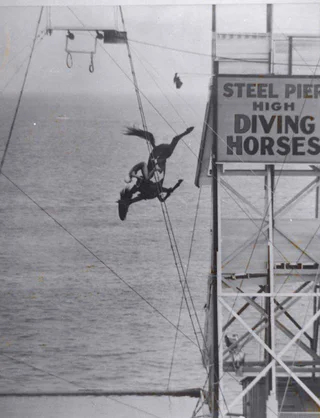 The diving horse is an attraction that was popular in the mid-1880s when the horse dived into the pool - Horses, Diving, Longpost