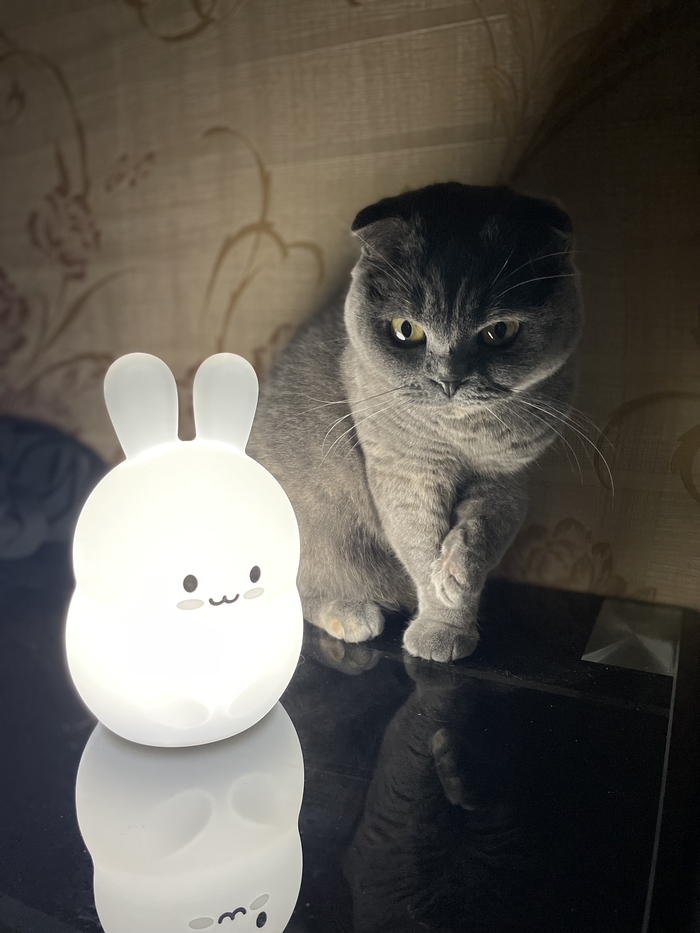 ��� ���������