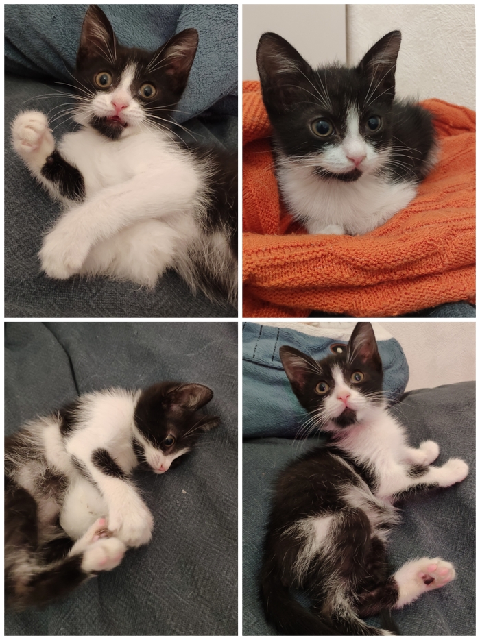 ������� (1.5 ���) ���� ���� ����� [����� ���]