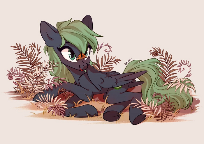 �������