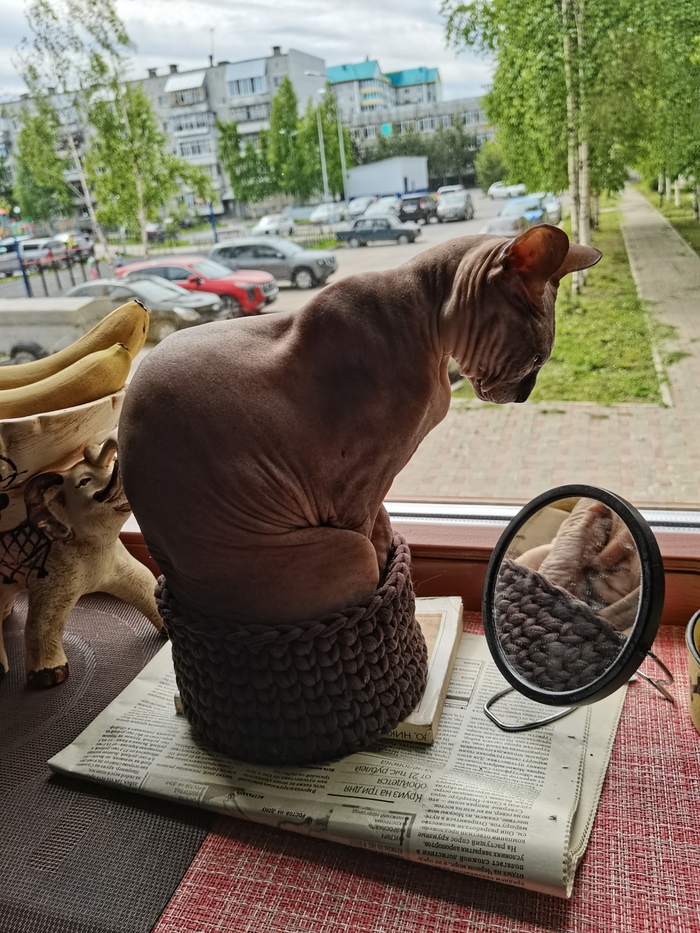 Мне так удобно
