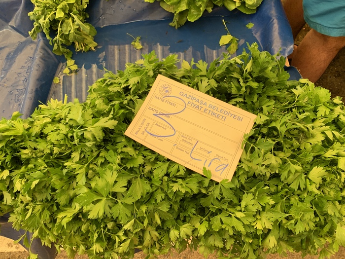 Цены на фрукты-овощи в Турции сейчас- июнь 2022. В городе Газипаша Турция, Цены, Длиннопост, Овощи, Фрукты, Газипаша Цены на фрукты-овощи в Турции сейчас- июнь 2022. В городе Газипаша Турция, Цены, Длиннопост, Овощи, Фрукты, Газипаша