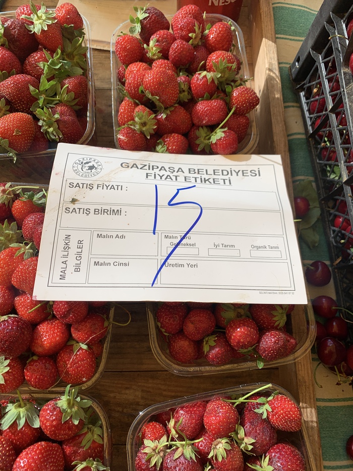 Цены на фрукты-овощи в Турции сейчас- июнь 2022. В городе Газипаша Турция, Цены, Длиннопост, Овощи, Фрукты, Газипаша Цены на фрукты-овощи в Турции сейчас- июнь 2022. В городе Газипаша Турция, Цены, Длиннопост, Овощи, Фрукты, Газипаша