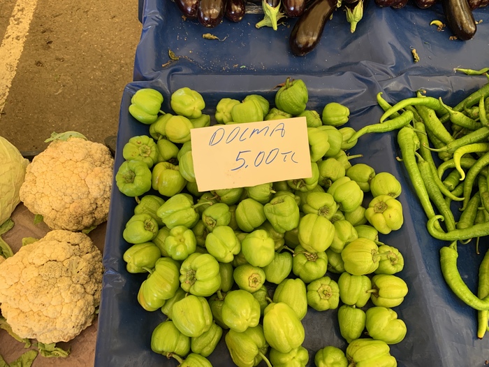 Цены на фрукты-овощи в Турции сейчас- июнь 2022. В городе Газипаша Турция, Цены, Длиннопост, Овощи, Фрукты, Газипаша Цены на фрукты-овощи в Турции сейчас- июнь 2022. В городе Газипаша Турция, Цены, Длиннопост, Овощи, Фрукты, Газипаша