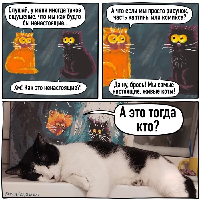 Pet photo comic 3 - My, Web comic, cat, Comics