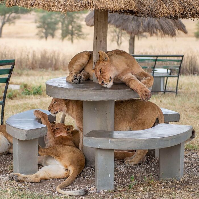 Туристы отдыхают