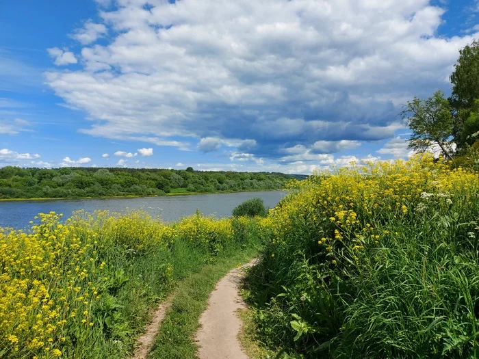 Oksky coast - My, The photo, River, Oka, Clouds, Tarusa