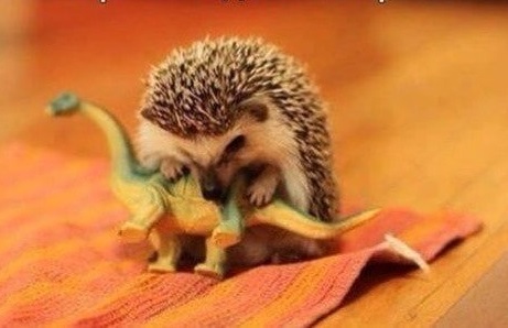 Scientists discover what caused dinosaurs to die out - Picture with text, Extinction of the dinosaurs, Hedgehog