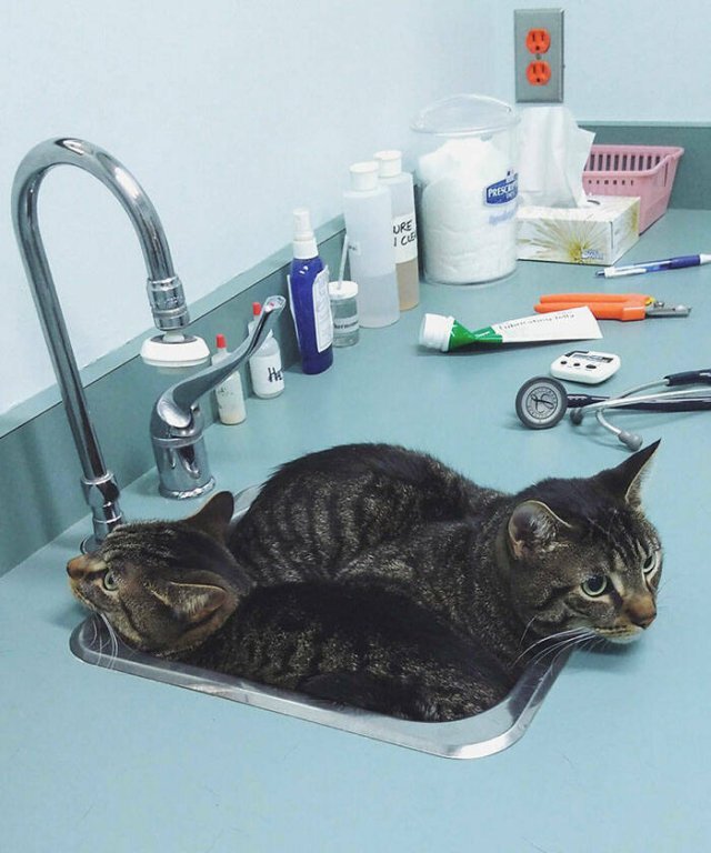  ... , , 