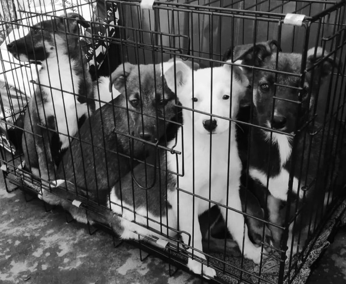 -8 (�����)