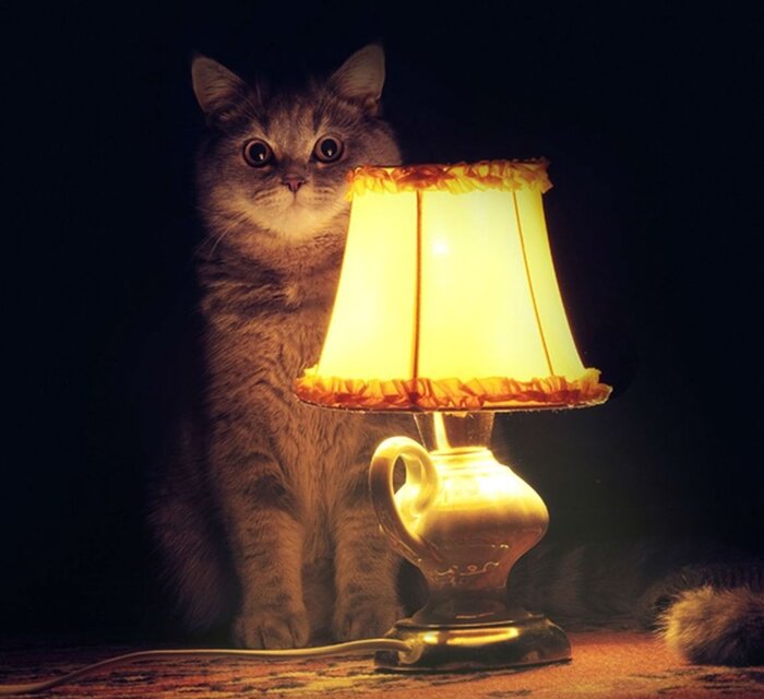 Как заработать классы. Пособие для начинающих