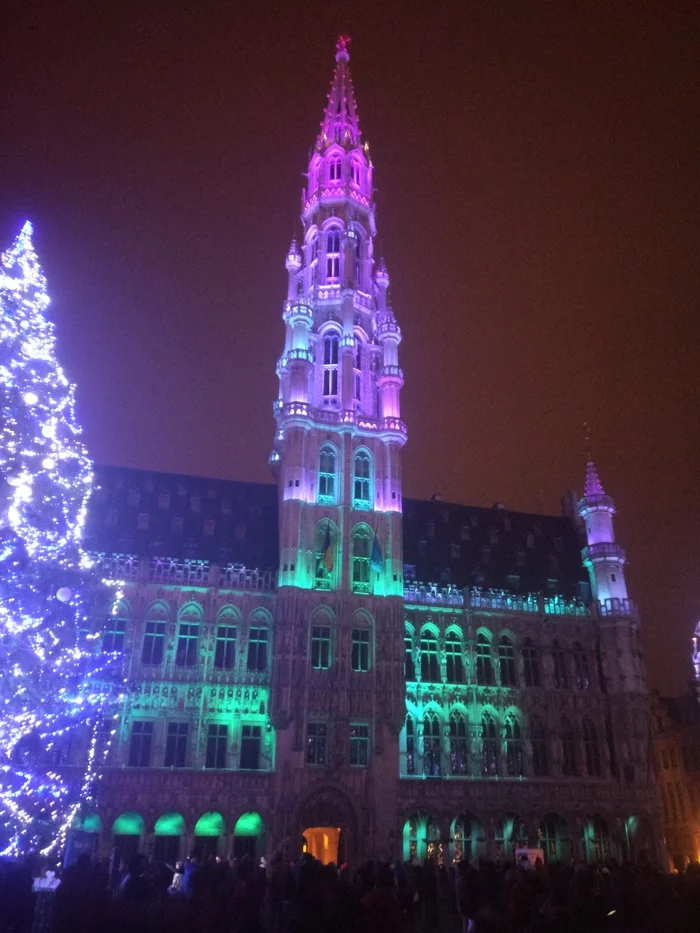 Brussels Christmas light show at Gran Place - My, Brussels, Christmas, Belgium, Light show, Travels, Video, Vertical video, Longpost