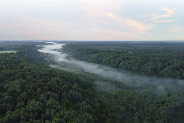  .   DJI, Dji mini 2, , , , , , ,  