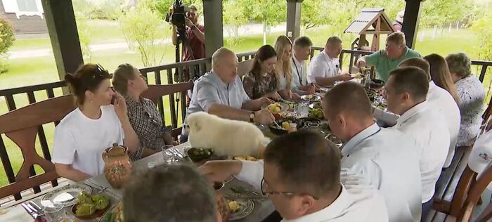 Dog on the table - Politics, Republic of Belarus, Alexander Lukashenko, Dinner, Dog, Spitz, Video