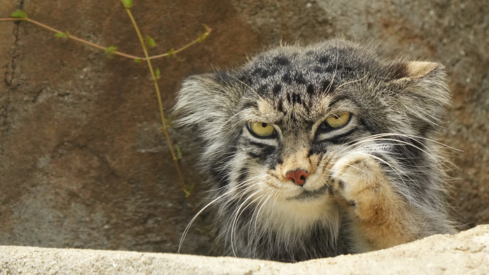 �������!