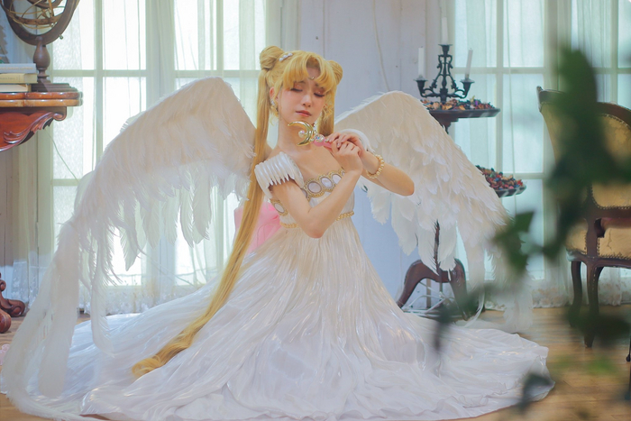   ^_^ Sailor Moon, , Princess Serenity, , 