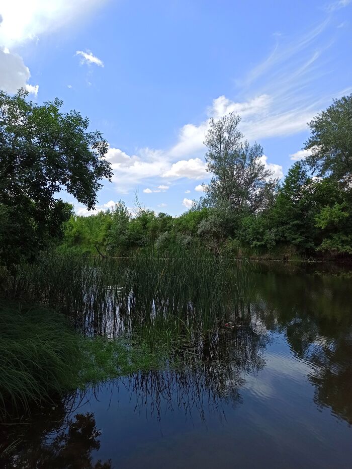 Ilovlya River (Volgograd Region) - My, Landscape, Nature, Mobile photography, River, Ilovlya, Clouds, Forest, beauty of nature, Longpost