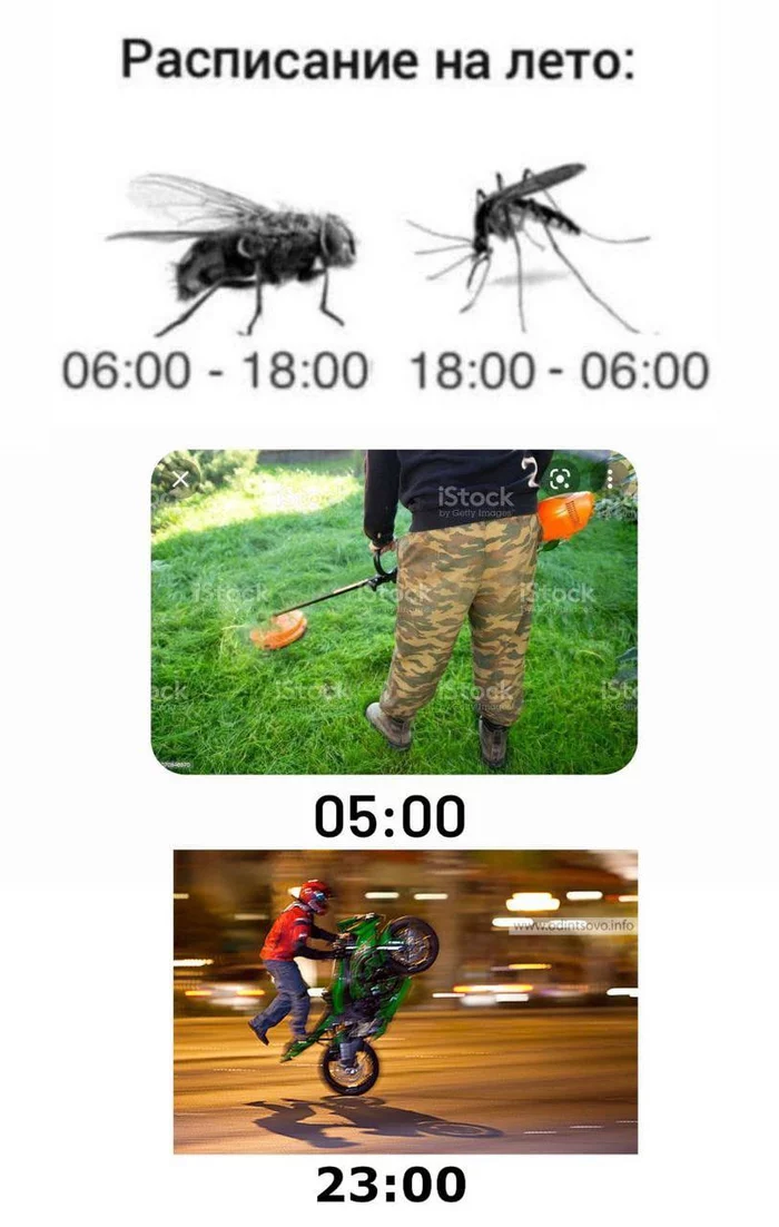 Schedule - Humor, Mosquitoes, Муха, Gasoline mower, Motorcyclists, Summer, Picture with text