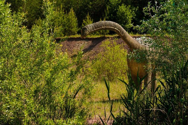 Now nobody walks like diplodocus - Diplodocus, Dinosaurs, Paleontology, Animals, Extinct species, Gait, Prehistoric animals, British scientists, Footprints, Fossils, Longpost