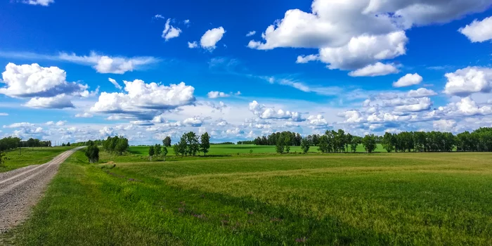 Summer - My, Summer, Clouds, Field, Novosibirsk region, The photo, Road, The horizon is littered