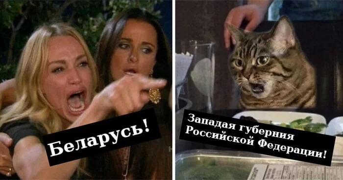 On behalf of the temporarily banned author StolikDlyaIgor - Picture with text, Memes, Subtle humor, Sad humor, Strange humor, cat, Two women yell at the cat, Irony, Republic of Belarus, Politics, Vital, Srach, Political satire