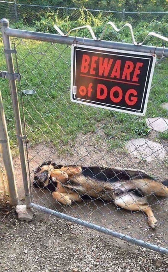    .     ... , ,   , 