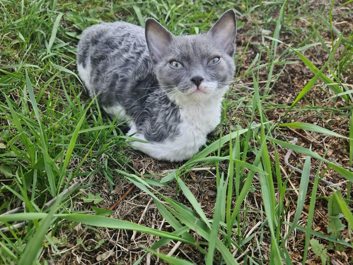 Маленькость