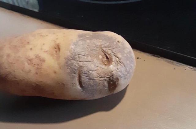 Sanya, help me out - when he woke up after drinking and is tormented by dry wood - Humor, Potato, Booze, Repeat, Pareidolia, Sushnyak