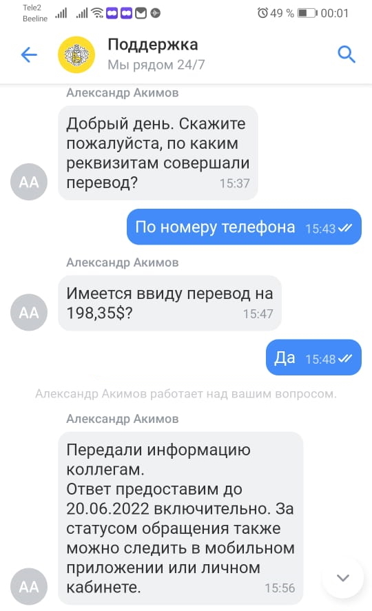 ТинькОФФ-банк рублевый перевод зачислил на валютный счет и 4 дня не может разобраться в причинах - Моё, Тинькофф банк, Негатив, Банк, Перевод денег, Длиннопост