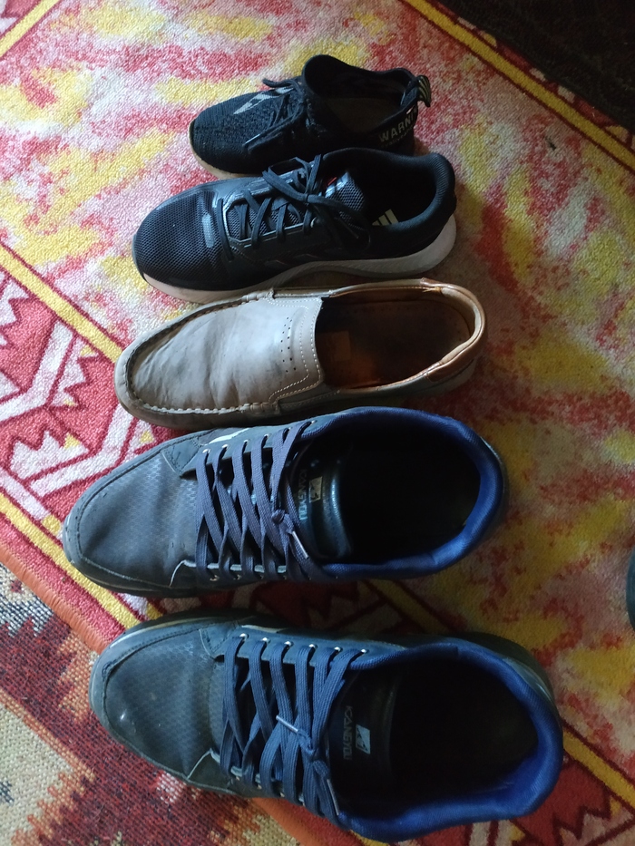 ������ ����� ��������